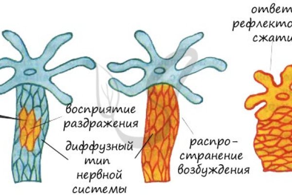 Hydra com зеркало