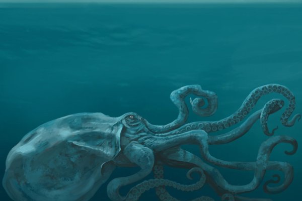 Kraken tor ссылка онлайн