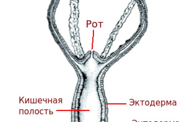 Kraken вывод средств