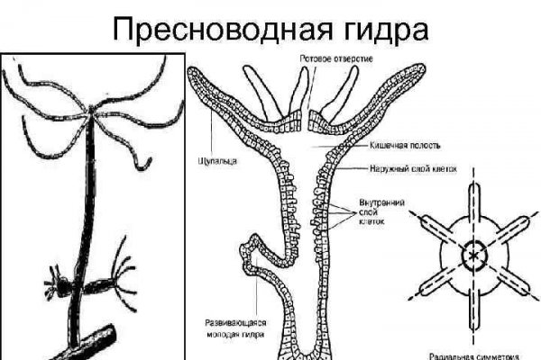 Kraken зеркало ссылка онлайн